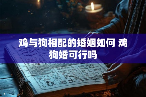 鸡与狗相配的婚姻如何 鸡狗婚可行吗