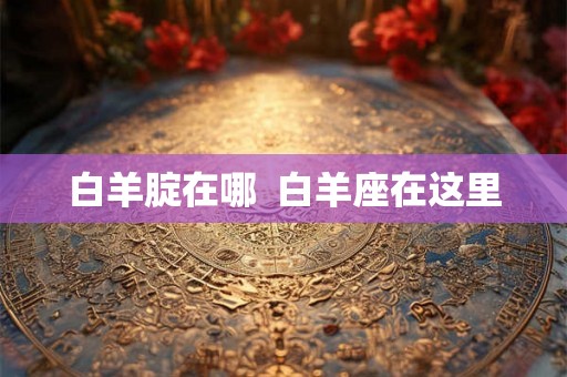 白羊腚在哪  白羊座在这里