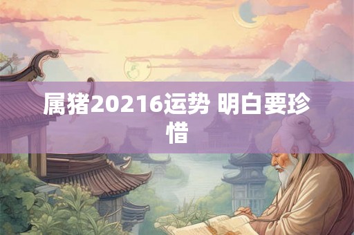 属猪20216运势 明白要珍惜