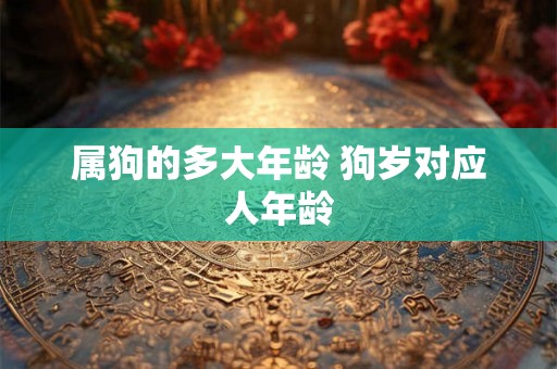 属狗的多大年龄 狗岁对应人年龄