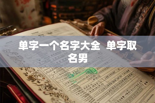 单字一个名字大全  单字取名男