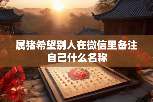 属猪希望别人在微信里备注自己什么名称