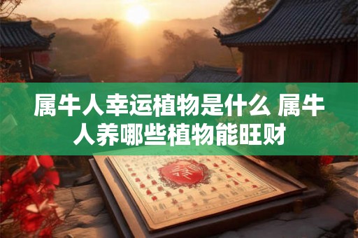 属牛人幸运植物是什么 属牛人养哪些植物能旺财