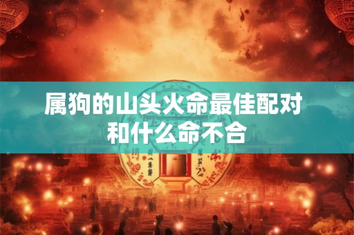属狗的山头火命最佳配对 和什么命不合