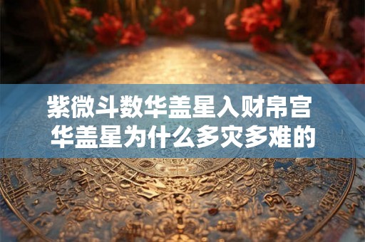 紫微斗数华盖星入财帛宫 华盖星为什么多灾多难的