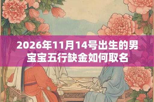 2026年11月14号出生的男宝宝五行缺金如何取名