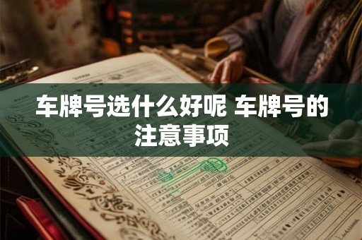 车牌号选什么好呢 车牌号的注意事项