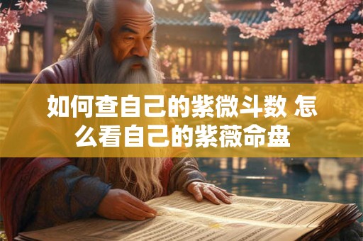 如何查自己的紫微斗数 怎么看自己的紫薇命盘