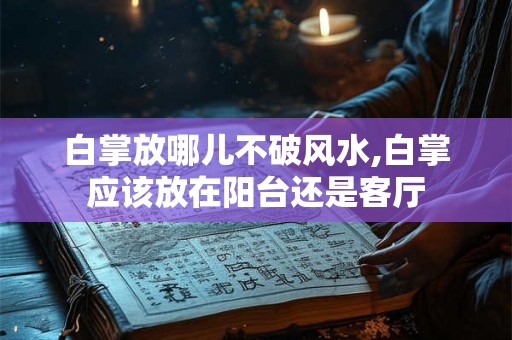 白掌放哪儿不破风水,白掌应该放在阳台还是客厅