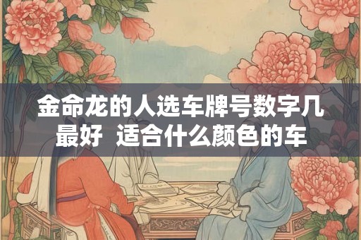 金命龙的人选车牌号数字几最好  适合什么颜色的车