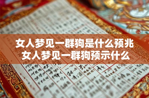 女人梦见一群狗是什么预兆 女人梦见一群狗预示什么