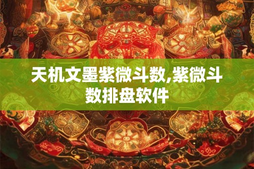 天机文墨紫微斗数,紫微斗数排盘软件