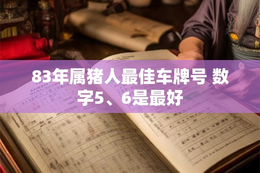 83年属猪人最佳车牌号 数字5、6是最好