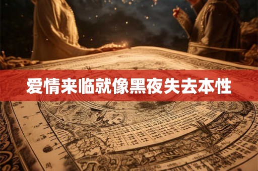 爱情来临就像黑夜失去本性 爱情来临就像黑夜失去本性