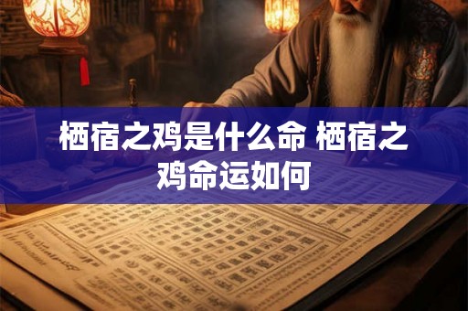 栖宿之鸡是什么命 栖宿之鸡命运如何