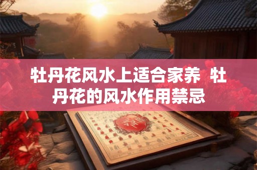 牡丹花风水上适合家养  牡丹花的风水作用禁忌