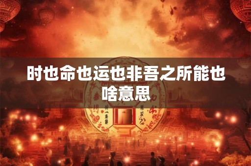 时也命也运也非吾之所能也啥意思
