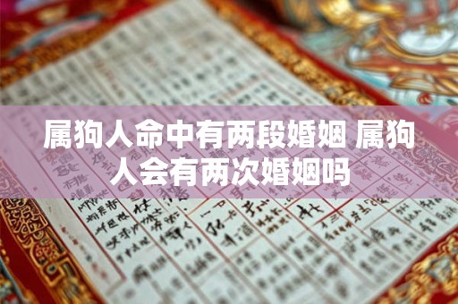 属狗人命中有两段婚姻 属狗人会有两次婚姻吗 属狗人命中有两段婚姻 属狗人会有两次婚姻吗