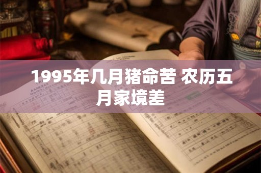 1995年几月猪命苦 农历五月家境差