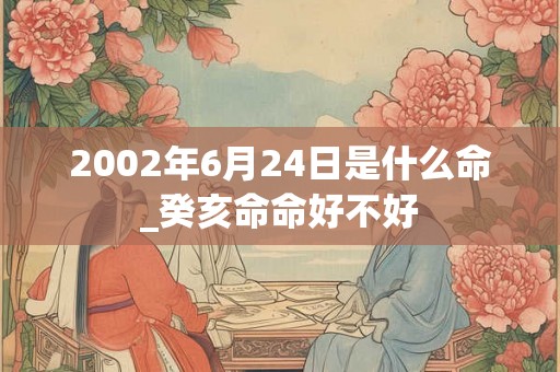 2002年6月24日是什么命_癸亥命命好不好