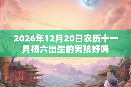 2026年12月20日农历十一月初六出生的男孩好吗
