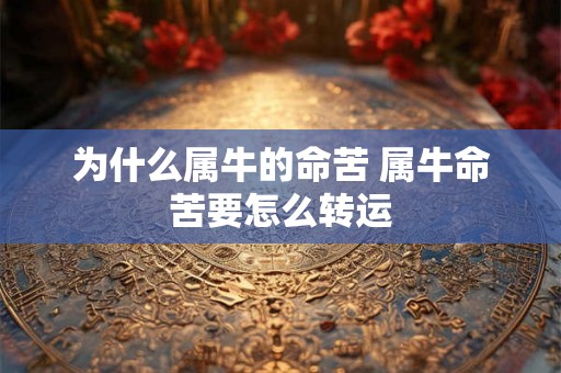 为什么属牛的命苦 属牛命苦要怎么转运