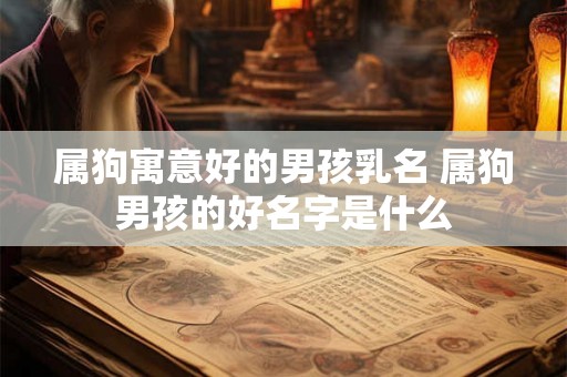 属狗寓意好的男孩乳名 属狗男孩的好名字是什么