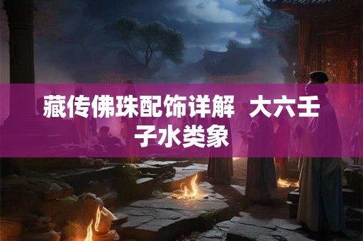 藏传佛珠配饰详解  大六壬子水类象