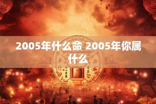 2005年什么命 2005年你属什么 2005年什么命 2005年你属什么