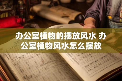 办公室植物的摆放风水 办公室植物风水怎么摆放