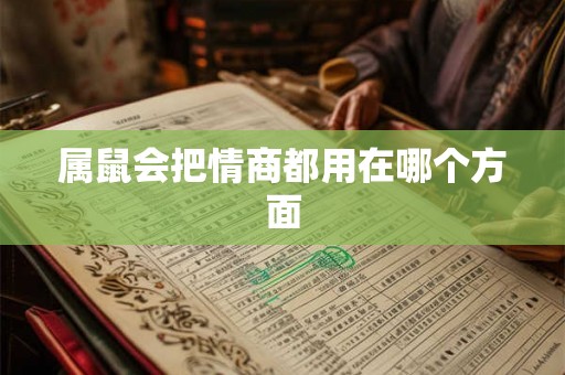 属鼠会把情商都用在哪个方面