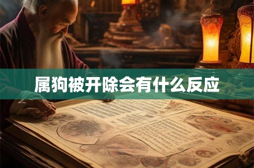 属狗被开除会有什么反应