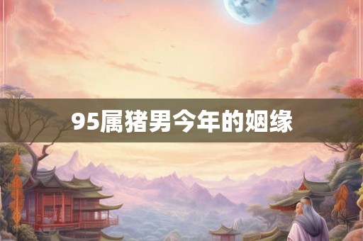 95属猪男今年的姻缘