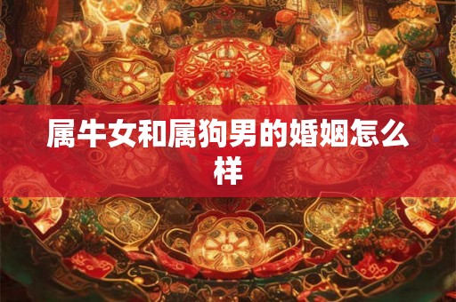 属牛女和属狗男的婚姻怎么样