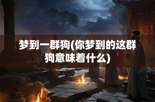 梦到一群狗(你梦到的这群狗意味着什么)