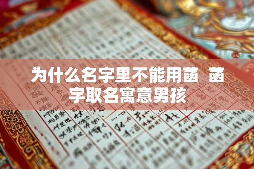 为什么名字里不能用菡  菡字取名寓意男孩