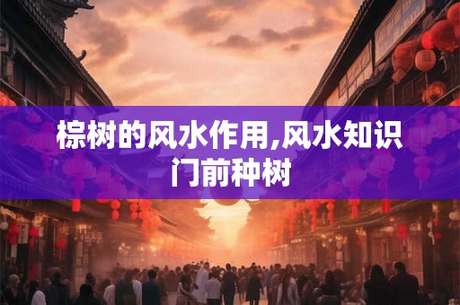 棕树的风水作用,风水知识门前种树