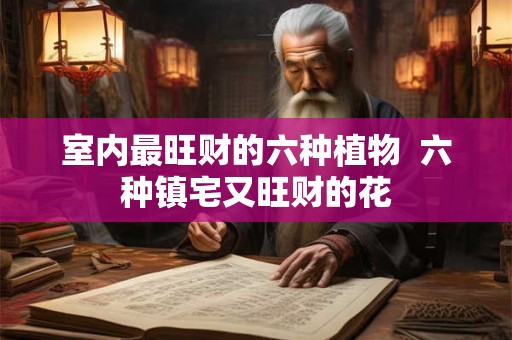 室内最旺财的六种植物 六种镇宅又旺财的花 室内最旺财的六种植物 六种镇宅又旺财的花
