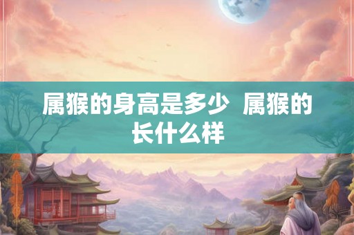 属猴的身高是多少  属猴的长什么样