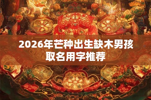 2026年芒种出生缺木男孩取名用字推荐 2026年芒种出生缺木男孩取名用字推荐