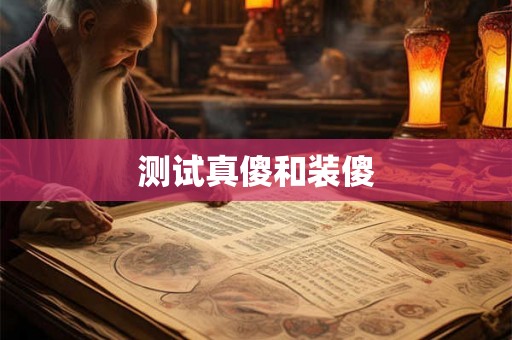 测试真傻和装傻