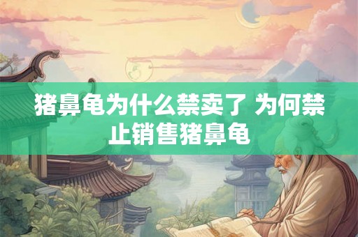 猪鼻龟为什么禁卖了 为何禁止销售猪鼻龟