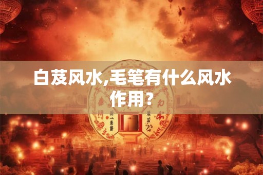 白芨风水,毛笔有什么风水作用？