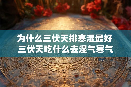 为什么三伏天排寒湿最好 三伏天吃什么去湿气寒气