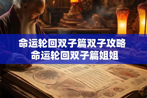 命运轮回双子篇双子攻略  命运轮回双子篇姐姐