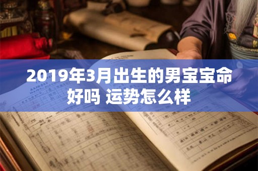 2019年3月出生的男宝宝命好吗 运势怎么样