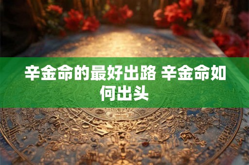 辛金命的最好出路 辛金命如何出头