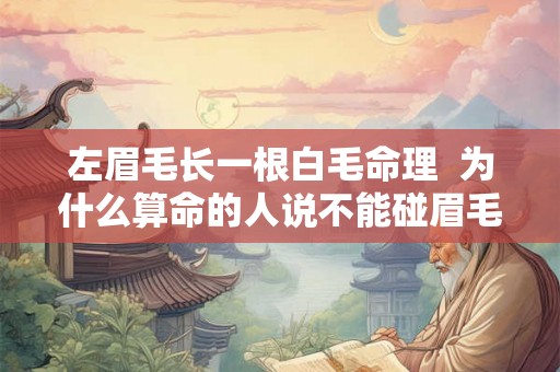 左眉毛长一根白毛命理  为什么算命的人说不能碰眉毛