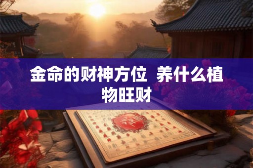 金命的财神方位  养什么植物旺财