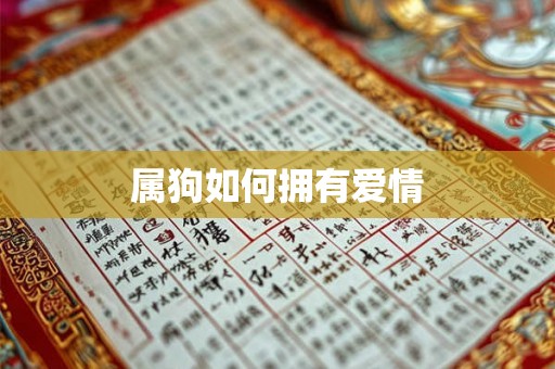 属狗如何拥有爱情